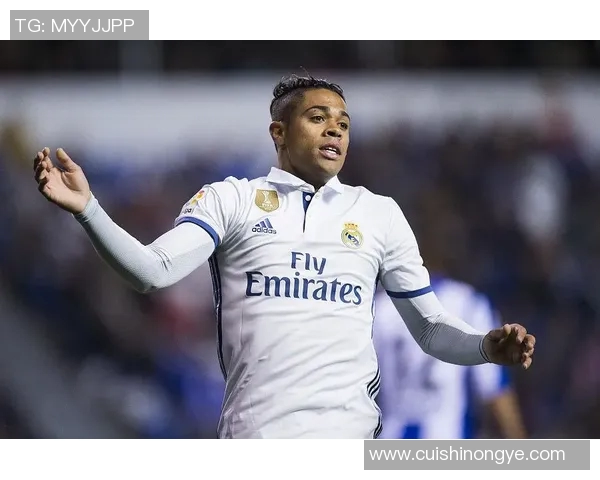 多米尼加足球明星盘点及其在国际赛场上的表现分析