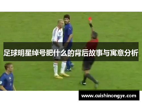 足球明星绰号肥什么的背后故事与寓意分析