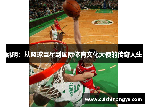 姚明：从篮球巨星到国际体育文化大使的传奇人生