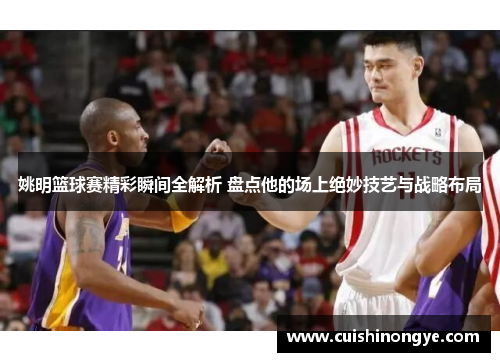 姚明篮球赛精彩瞬间全解析 盘点他的场上绝妙技艺与战略布局