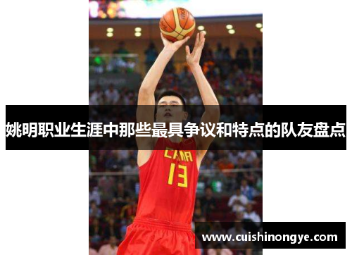 姚明职业生涯中那些最具争议和特点的队友盘点