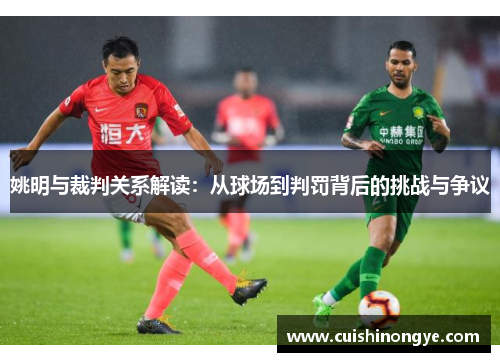 姚明与裁判关系解读：从球场到判罚背后的挑战与争议