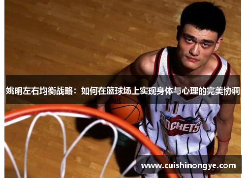 姚明左右均衡战略：如何在篮球场上实现身体与心理的完美协调