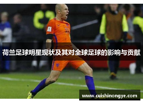 荷兰足球明星现状及其对全球足球的影响与贡献