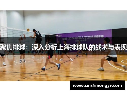 聚焦排球：深入分析上海排球队的战术与表现