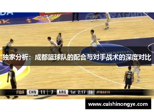 独家分析：成都篮球队的配合与对手战术的深度对比