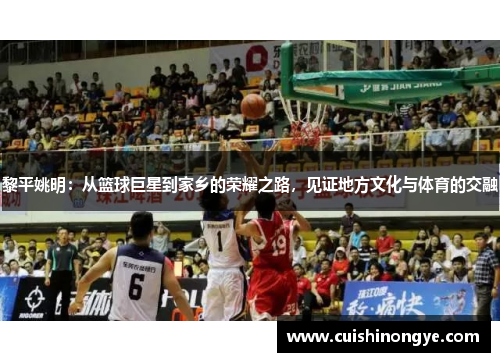 黎平姚明：从篮球巨星到家乡的荣耀之路，见证地方文化与体育的交融