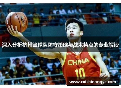 深入分析杭州篮球队防守策略与战术特点的专业解读