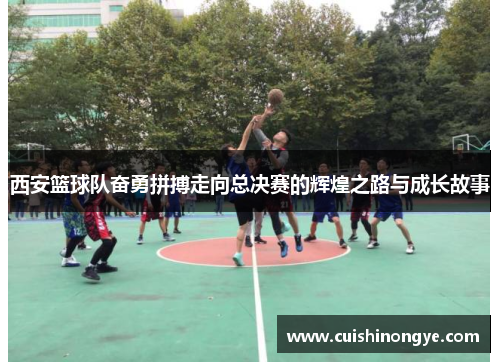 西安篮球队奋勇拼搏走向总决赛的辉煌之路与成长故事