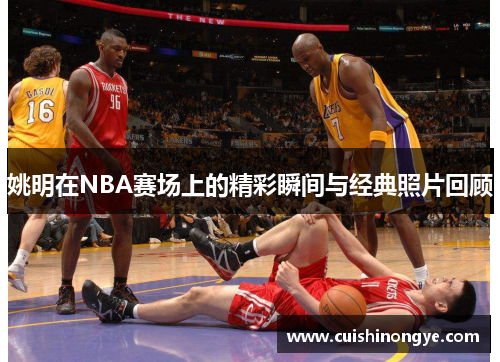 姚明在NBA赛场上的精彩瞬间与经典照片回顾