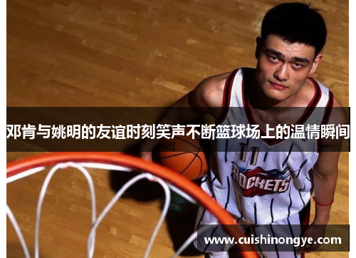 邓肯与姚明的友谊时刻笑声不断篮球场上的温情瞬间