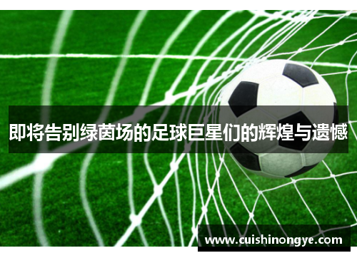 即将告别绿茵场的足球巨星们的辉煌与遗憾
