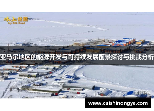 亚马尔地区的能源开发与可持续发展前景探讨与挑战分析
