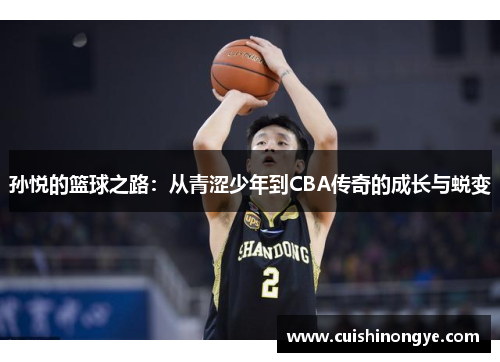 孙悦的篮球之路：从青涩少年到CBA传奇的成长与蜕变